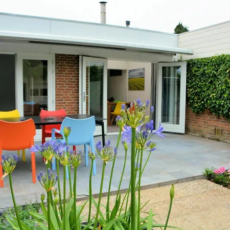 Fresh And Colorful Near The Sea Dunes And