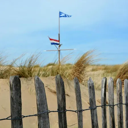 Fresh And Colorful Near The Sea Dunes And Holiday home Noordwijkerhout