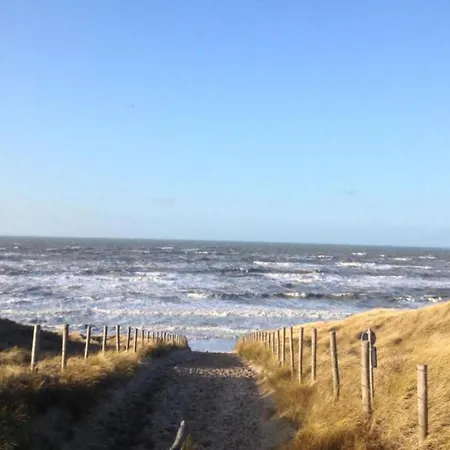 Fresh And Colorful Near The Sea Dunes And * Noordwijkerhout