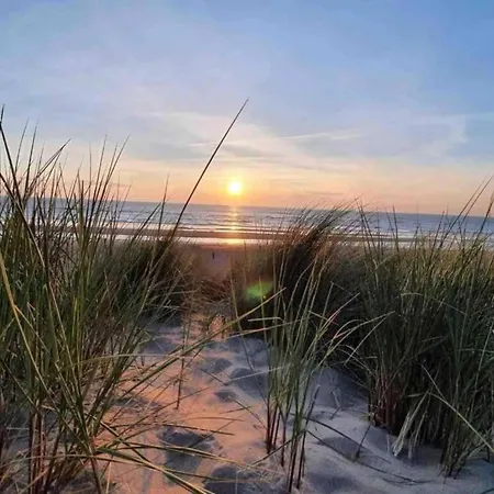 Fresh And Colorful Near The Sea Dunes And Holiday home *