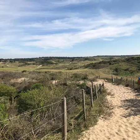 Fresh And Colorful Near The Sea Dunes And *