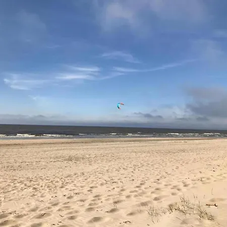 Fresh And Colorful Near The Sea Dunes And