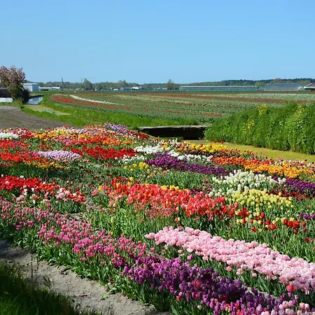 Charming Garden Retreat Nyaraló Noordwijkerhout
