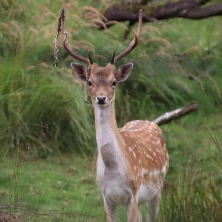 Hébergement de vacances Charming Garden Retreat *