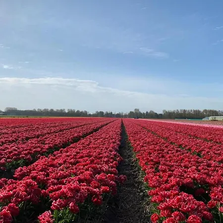 Charming Garden Retreat * Noordwijkerhout
