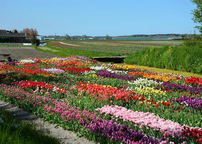 Charming Garden Retreat Hébergement de vacances Noordwijkerhout