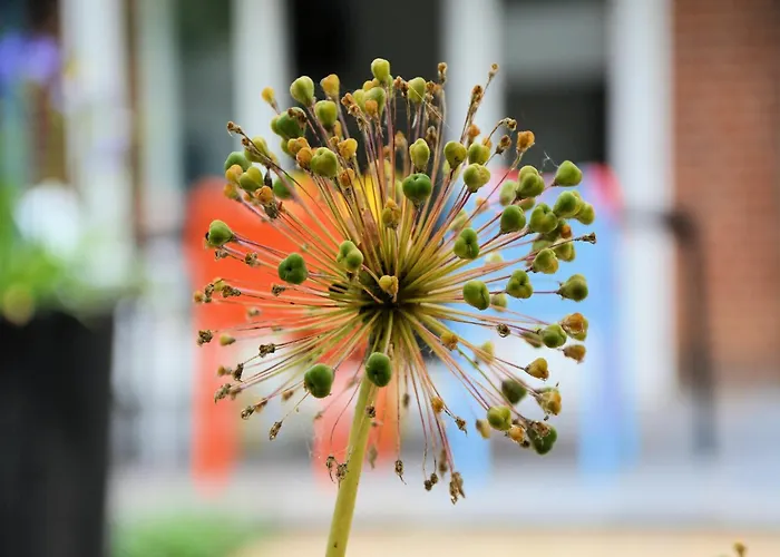 Charming Garden Retreat Hébergement de vacances Noordwijkerhout