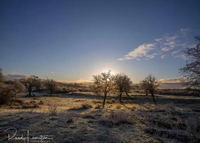 Charming Garden Retreat Holiday home Noordwijkerhout