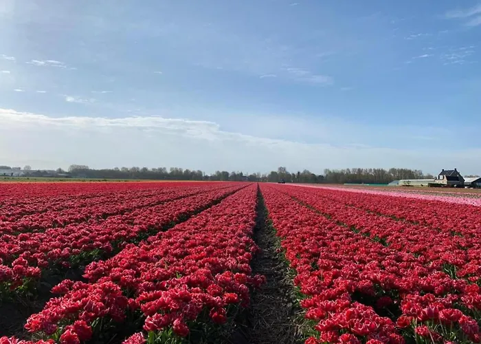 Charming Garden Retreat * Noordwijkerhout