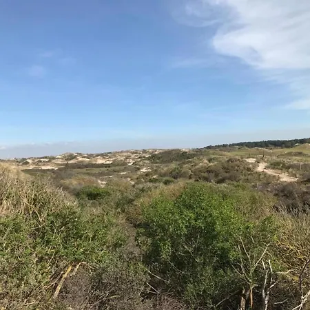 펜션 Fresh And Colorful Near The Sea Dunes And 노르트바이커하우트