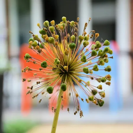 Charming Garden Retreat Casa de Férias Noordwijkerhout