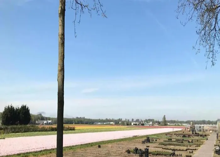 Charming Garden Retreat Noordwijkerhout